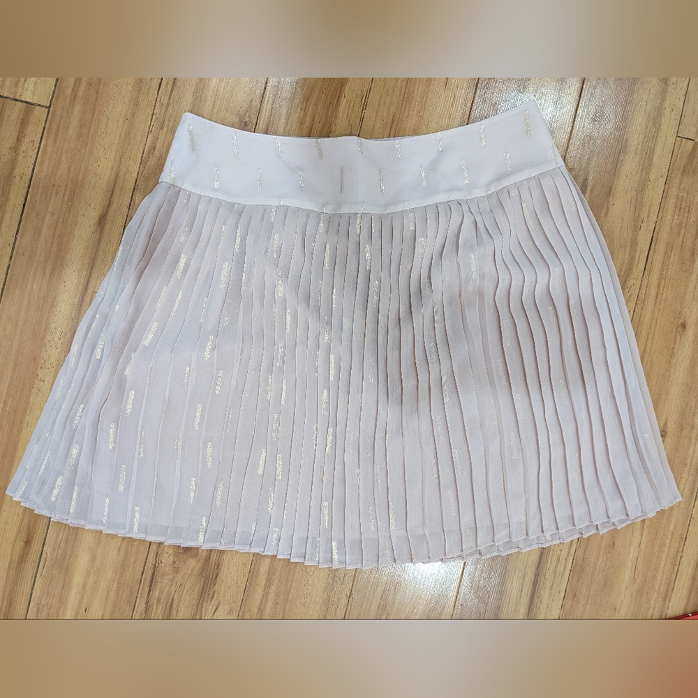 Loft Skirt, Size 10, Blush with gold shimmer detail, NWOT
